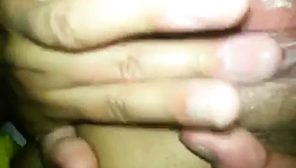 Kedi yalama - yakın çekim