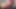 Two perceivous milfs fucking a single guy until they squeeze him and leave him dry from so much fucking - summertime saga
