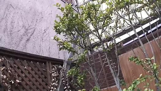 Japon kıllı kedi