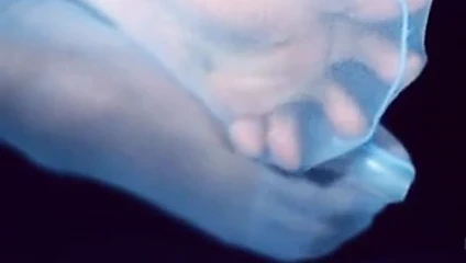 Tüm naylon sevenler için