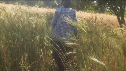 Beautiful sister-in-law in the field, who is roaming in the forest and dropping it and bathing outside in the open bathroom in the field?