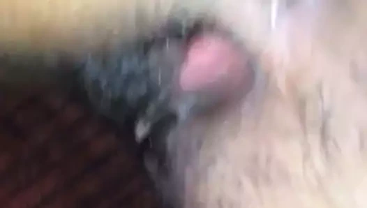 Sans capote bonne chatte mouille