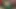 Connivingrat 3d porno hentai derlemesi 44