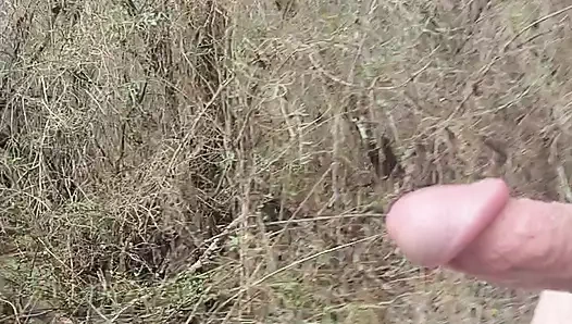 Eski bir yolda yürüyorum.