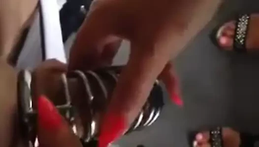 domina 2 ile Dino moci