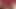 Hatun orta yaşlı seksi kadın sert bir şekilde cezalandırılıyor ve gırtlağına kadar sikiliyor