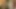 Porno yıldızı Michelle Banks en ateşli ırklararası sahnede