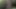 Fucking my friend's girlfriend in the woods, Outdoor sex, Profile with Homemade Videos