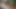 Indian Porn