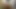 NSFW.mp4