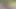 Benzinli chainsw çıplak kız dalları kesiyor