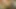 Travesti yatağa eğiliyor ve götten sikiliyor