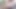Groobyvr: Crystal Thayer ile derine in