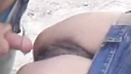 Farsça sürtük Başlarken becerdin dışında