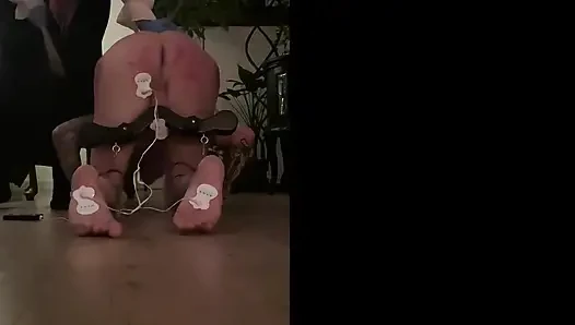 Sakinleştirici, elektronik müzik ve aşağılayıcı bir tonla son derece ev yapımı bir video; Nasıl zorlandığını duyun!