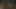 tracy austin