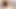 Pov: licking the pussy of the biggest ass girl in school, with cumshot in the ass