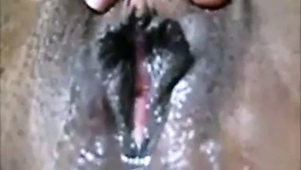 Şişman ıslak götlü amcık