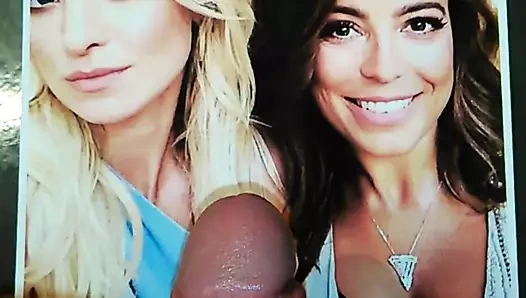 Mucha, cichopek, kurdej cum haraç