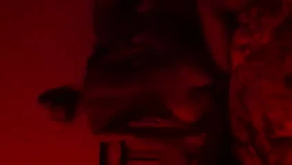 mia moglie troia si fa' scopare dal bull