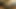 Thickblackoilycock kenar 1