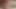 Ateşli Rino Sakuragi'nin pürüzsüz Asyalı üniformalı oral seksi