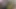 White ass Riding on top of her stepfather's penis, stepdaughter takes the opportunity to fuck him when her mother is not at home
