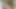 Seksi zenci hatun koyu ıslak amcığını yalıyor
