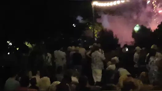 Hint eşek havai fişek gösterisi izliyor