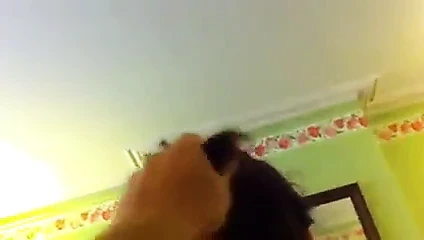 Amatör İngiliz seks bölüm 2