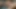 I licked my step sister's juicy pussy