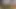 Mayolu flört eden Asyalı genç kız yaşlı beyaz fotoğrafçıyla ateşli fotoğraflar çekiyor