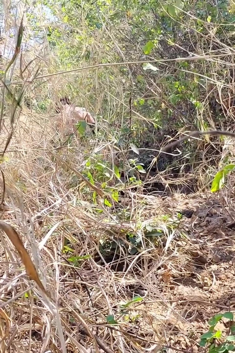 Eski Kız Arkadaşımı Ormanda Siktim