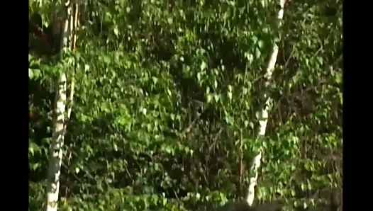 USA - Best porn from Sin City    vol. #07