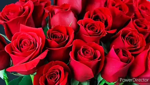 Bangla choti golpo hot Bangladeshi chachi cheating fuck by neighbour  hot story