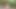Tombul Alman milf, ormanda yabancı bir adamla dışarıda oral seks yapıyor
