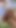 Jija sali sex video, cute little sali fucking so hard by her jija in outdoor farms, sali says fuck me Hard | Clip 1
