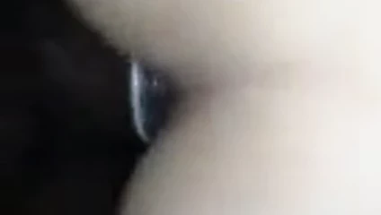 Bangin o beyaz kedi yukarı