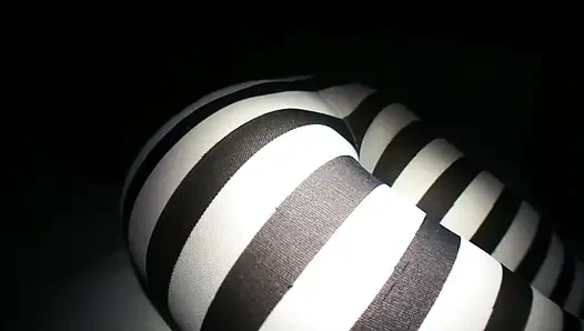 Late Nite Verify