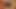 Orta yaşlı seksi kadın kanepede sert sikişmeden önce ayak parmaklarını ve amını yalatıyor