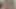 Twink olduğunu her zaman aç için raw horoz