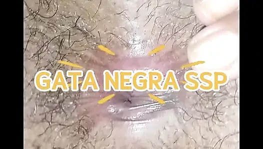 GATANEGRA NOLAUNCH LIFE
