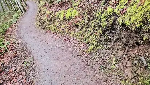 Yağmurlu Bir Günde Yürüyüş-n-sidik