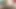 Lola DeMilo Seattle Hairy Girl Unshaven Masturbation