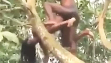 Ağaçta seks pozisyonu