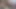Üniversitedeki en iyi öğrenciyi sikiyor