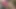 Chloe Minx oyuncakları ortaya çıkarıyor - tam 4k yeniden düzenleme