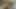 Bhabhi Ki Mast Jawani Seksi Chut