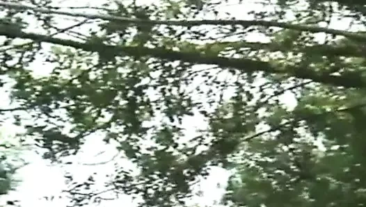 Kamp anıları (1986)