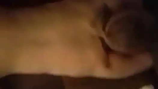 benim atletik pençe köpeğim